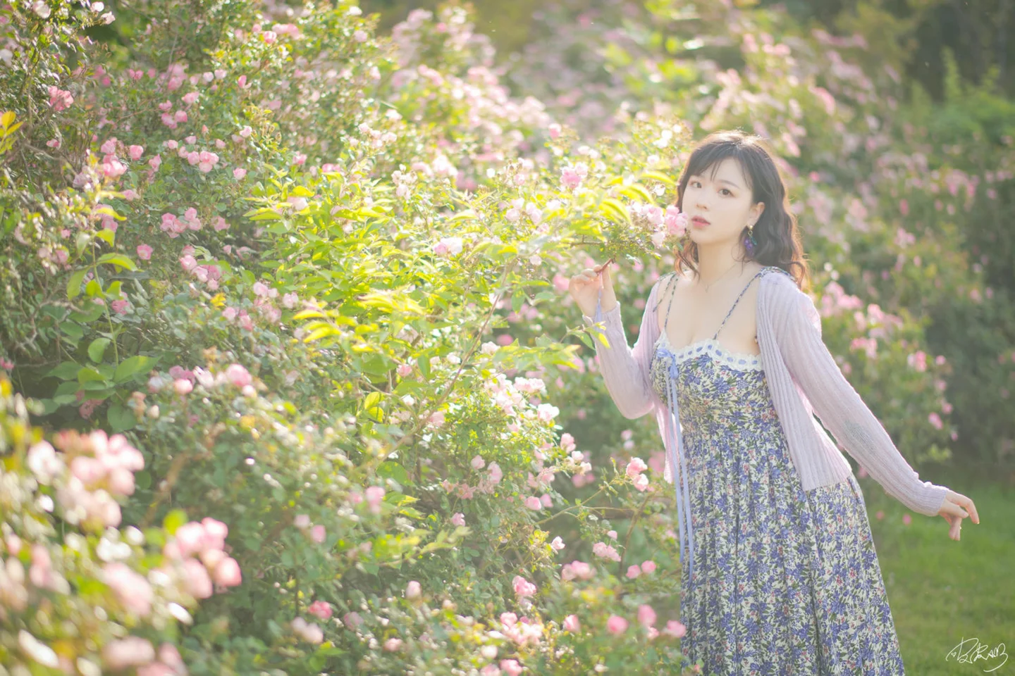 皮皮奶 - 蔷薇花 [37P-269MB] tg@simisebaisi 【丝足阁】001.webp